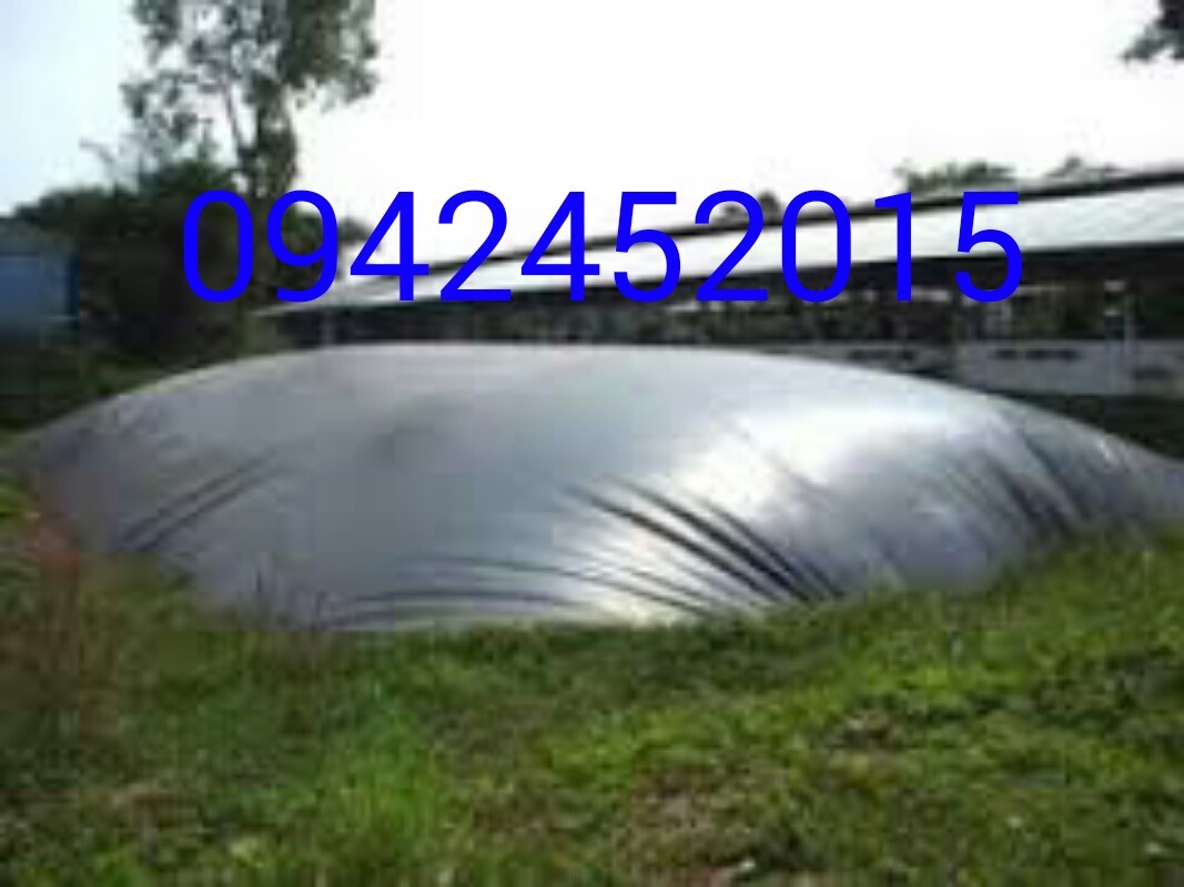 Thi công hồ biogas